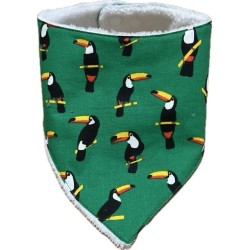 Toucan
